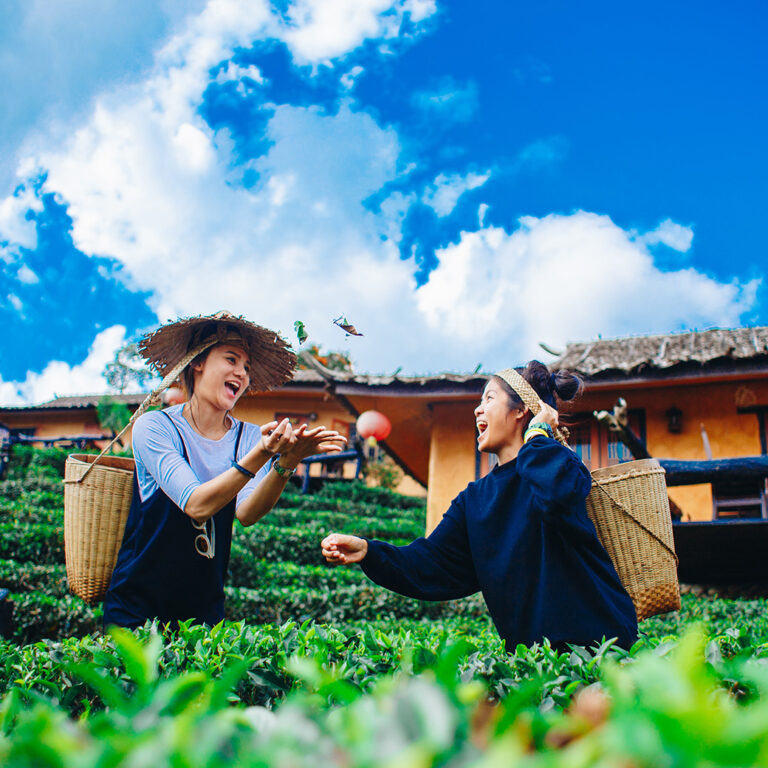 Treat yourself to an experience in Thailand you will never forget.