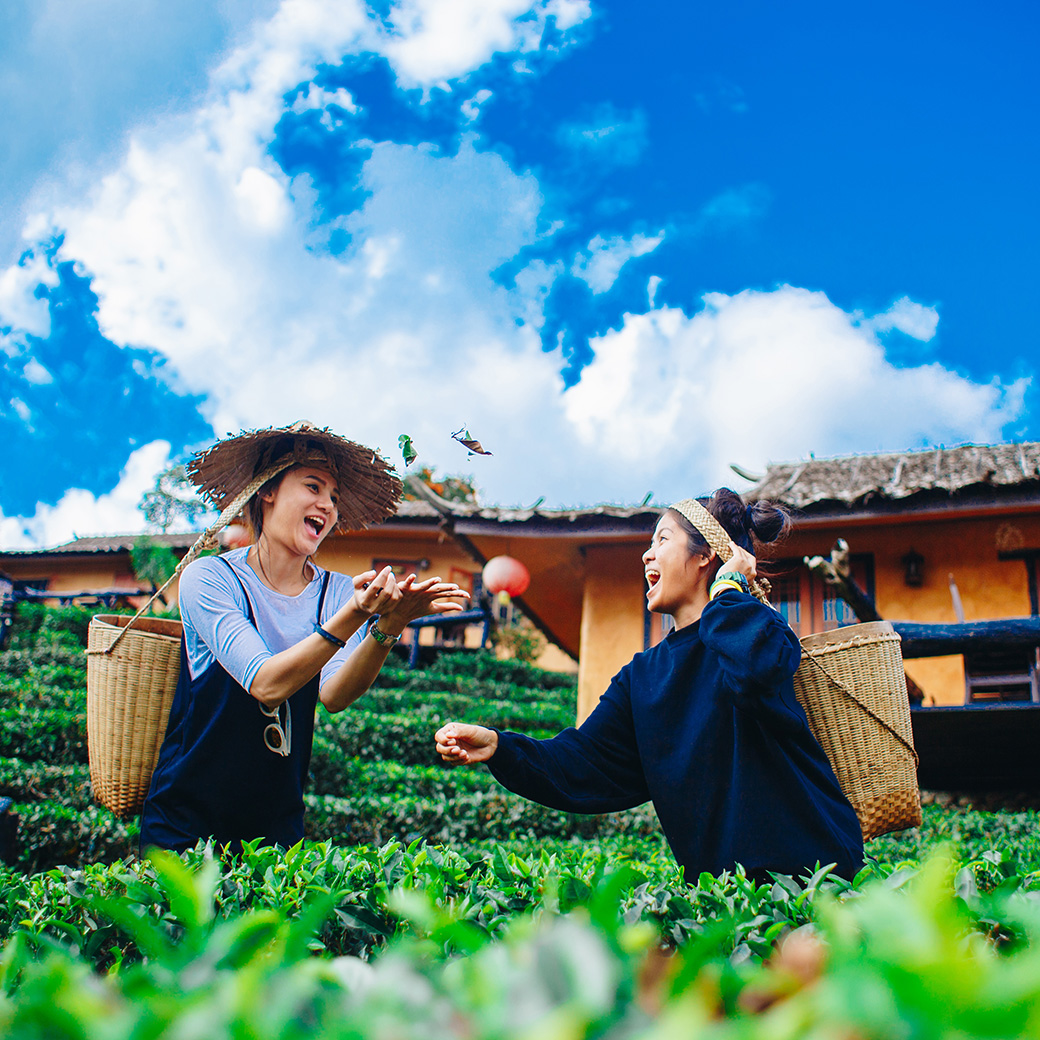 Treat yourself to an experience in Thailand you will never forget.